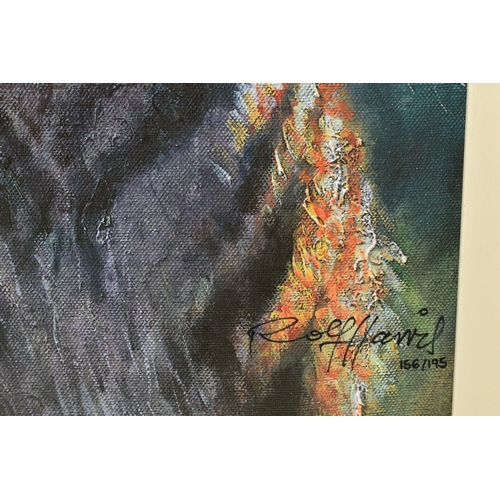 307 - ROLF HARRIS (AUSTRALIA 1930-2023)  'TIGER IN THE SUN', a signed limited edition print on canvas boar... 