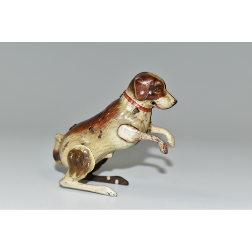 340 - A GERMAN TIN PLATE CLOCKWORK DOG, made in U.S zone, begging clockwork dog with a red collar 1946-195... 