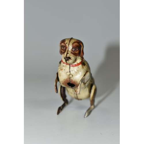 340 - A GERMAN TIN PLATE CLOCKWORK DOG, made in U.S zone, begging clockwork dog with a red collar 1946-195... 