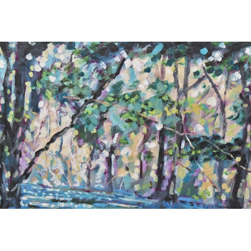 598 - TIMMY MALLETT (BRITISH CONTEMPORARY) 'BLUEBELL SHADOWS', limited edition box canvas print of a woodl... 