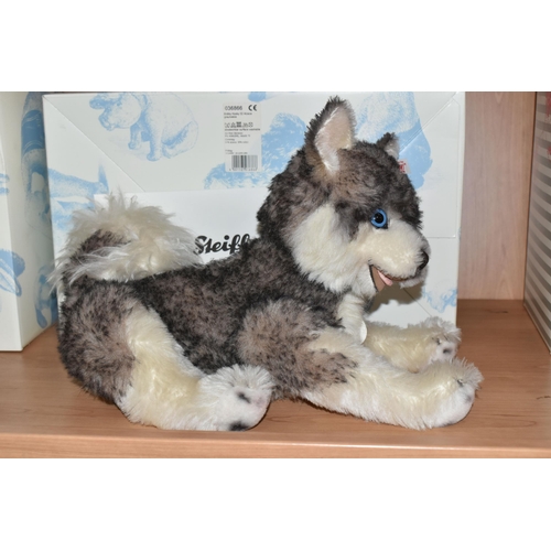 436 - A BOXED LIMITED EDITION STEIFF 'BOBBY HUSKY MASTERPIECE', with grey and white alpaca and cotton 'fur... 