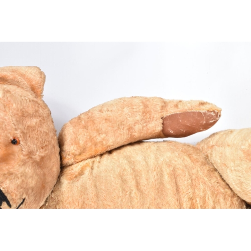 113 - A LARGE GOLDEN PLUSH TEDDY BEAR, amber and black plastic eyes, vertically stitched nose with minor d... 