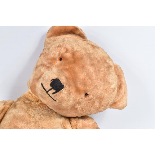 113 - A LARGE GOLDEN PLUSH TEDDY BEAR, amber and black plastic eyes, vertically stitched nose with minor d... 