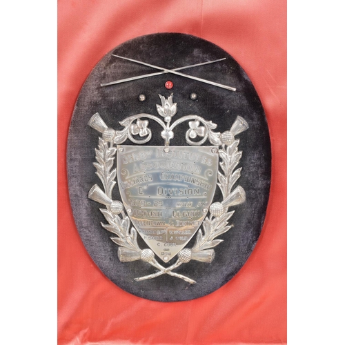 421 - EARLY 20TH CENTURY BRITISH LEGION INTEREST: - A LATE 20TH CENTURY DISPLAY CASE CONTAINING TEN OVAL V... 