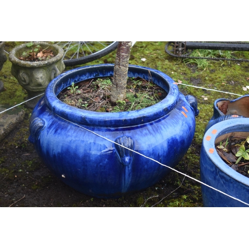 1008 - A BLUE GLAZED GARDEN PLANTER, with a sour cherry plant planted, along with four other glazed plant p... 