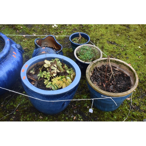 1008 - A BLUE GLAZED GARDEN PLANTER, with a sour cherry plant planted, along with four other glazed plant p... 