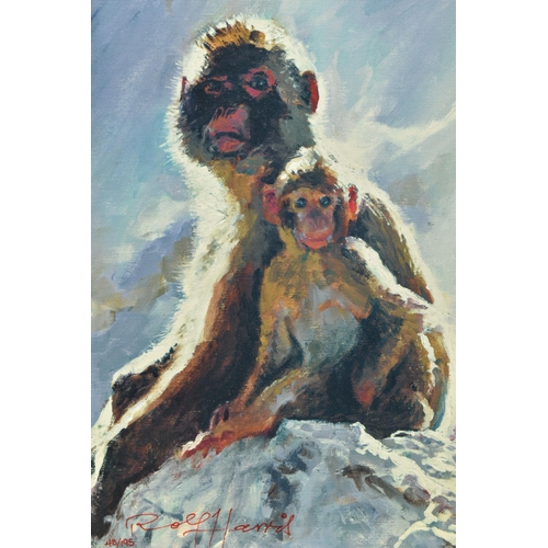 311 - ROLF HARRIS (AUSTRALIA 1930-2023) 'BACKLIT BABOONS - GIBRALTAR', a signed limited edition print on c... 