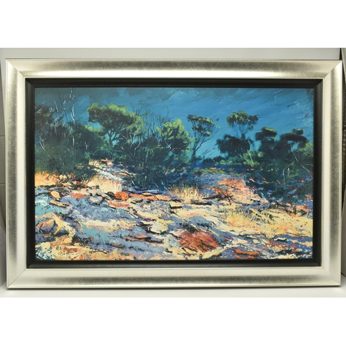 315 - ROLF HARRIS (AUSTRALIA 1930-2023) 'DRY COUNTRY', a signed limited edition print on board, depicting ... 