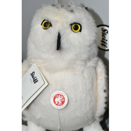 522 - A BOXED LIMITED EDITION STEIFF 'HEDWIG' FROM 'HARRY POTTER', made from white alpaca, gold coloured b... 