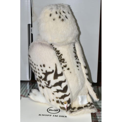 522 - A BOXED LIMITED EDITION STEIFF 'HEDWIG' FROM 'HARRY POTTER', made from white alpaca, gold coloured b... 