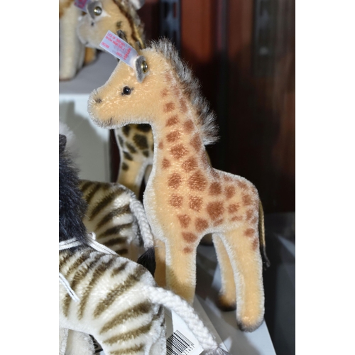 526 - A BOXED LIMITED EDITION STEIFF NOAH'S ARK SET TWO, comprising two giraffes and two zebras, all made ... 