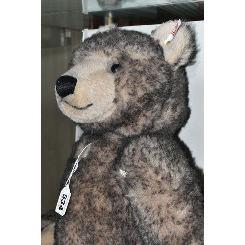 534 - A BOXED STEIFF LIMITED EDITION 'BIG BEAR', jointed with grey tipped alpaca 'fur', growler, gold colo... 