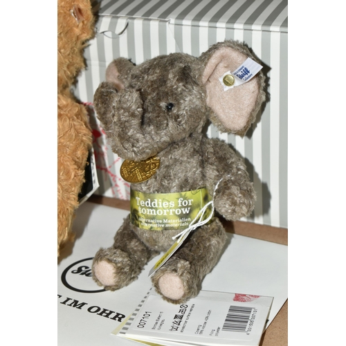 566 - A BOXED LIMITED EDITION STEIFF TEDDY FOR TOMORROW HANNA TEDDY BEAR NO. 006135 AND AN UNBOXED TEDDIES... 