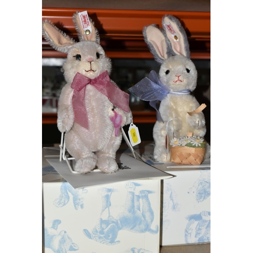 506 - TWO BOXED STEIFF EASTER BUNNIES, comprising 682766 'Daisy Bunny' 2014 North American limited edition... 