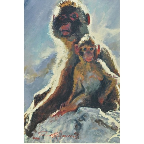 308 - ROLF HARRIS (AUSTRALIA 1930-2023) 'BACKLIT BABOONS - GIBRALTAR', a signed limited edition print on b... 