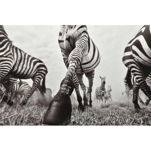 314 - ANUP SHAH (KENYAN CONTEMPORARY) 'ONWARD', a signed limited edition photographic print depicting a ze... 