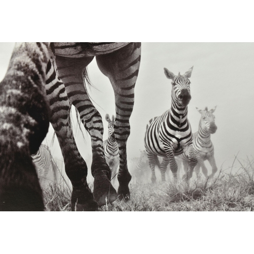 314 - ANUP SHAH (KENYAN CONTEMPORARY) 'ONWARD', a signed limited edition photographic print depicting a ze... 