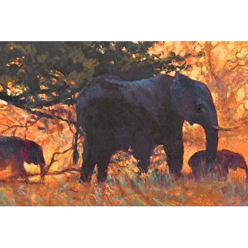 317 - ROLF HARRIS (AUSTRALIA 1930-2023) 'BACKLIT GOLD', a signed limited edition print on canvas board, de... 