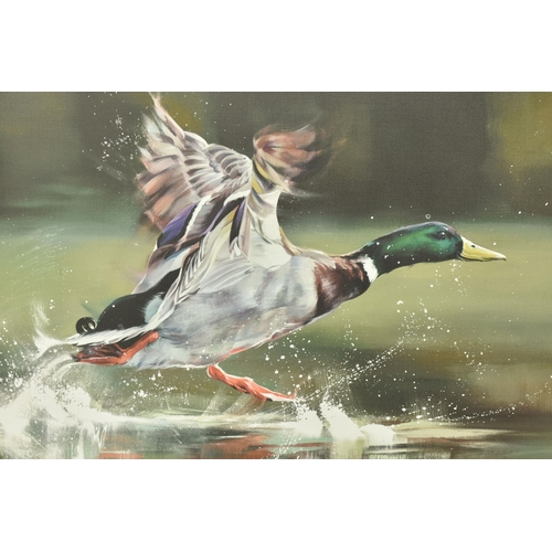 320 - DEBBIE BOON (BRITISH CONTEMPORARY) 'ON YOUR MARKS', a signed limited edition print on board, depicti... 