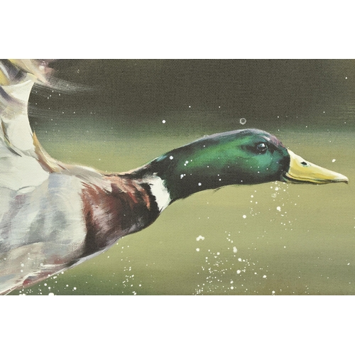 320 - DEBBIE BOON (BRITISH CONTEMPORARY) 'ON YOUR MARKS', a signed limited edition print on board, depicti... 