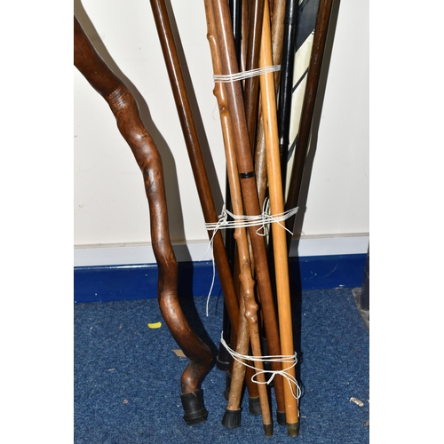 358 - A GROUP OF WALKING STICKS, twelve sticks and one golf umbrella, comprising a natural shaped walking ... 