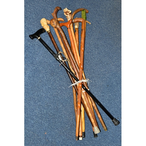 364 - A COLLECTION OF WALKING STICKS, comprising eleven sticks, a resin 'Beethoven' topped stick, an Orien... 