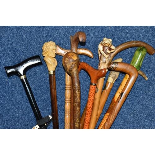 364 - A COLLECTION OF WALKING STICKS, comprising eleven sticks, a resin 'Beethoven' topped stick, an Orien... 