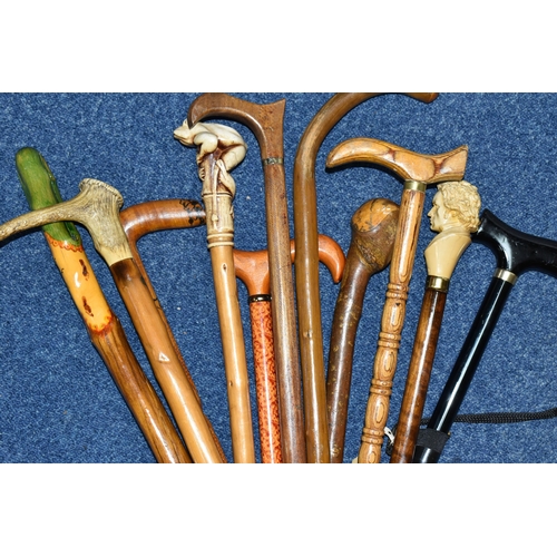 364 - A COLLECTION OF WALKING STICKS, comprising eleven sticks, a resin 'Beethoven' topped stick, an Orien... 