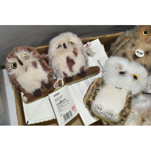 550 - ONE BOX OF STEIFF OWLS, comprising a limited edition boxed 'Owl set' 163/1000 with certificate, box ... 