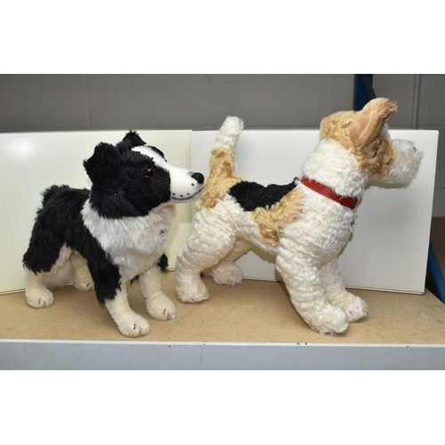 626 - TWO BOXED STEIFF DOGS, comprising Foxy Fox Terrier, with mohair and cotton covering, wearing a red c... 