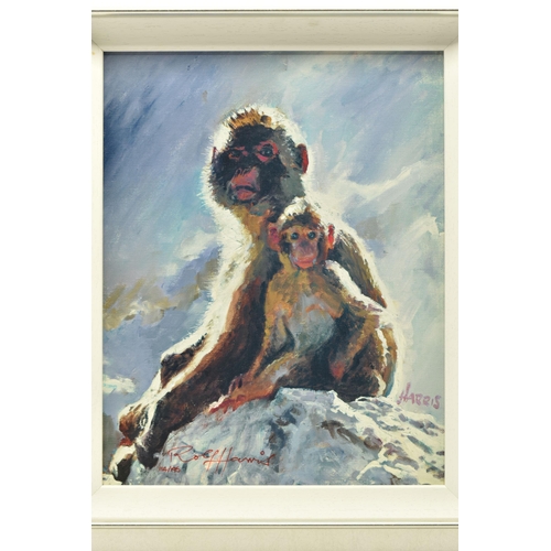 302 - ROLF HARRIS (AUSTRALIAN 1930) 'BACKLIT BABOON - GIBRALTAR' a limited edition print on board, 114/195... 