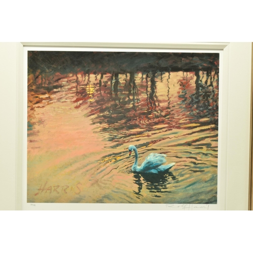 310 - ROLF HARRIS (AUSTRALIA 1930) 'SWAN IN THE MORNING' a signed limited edition print on paper, 64/195 w... 