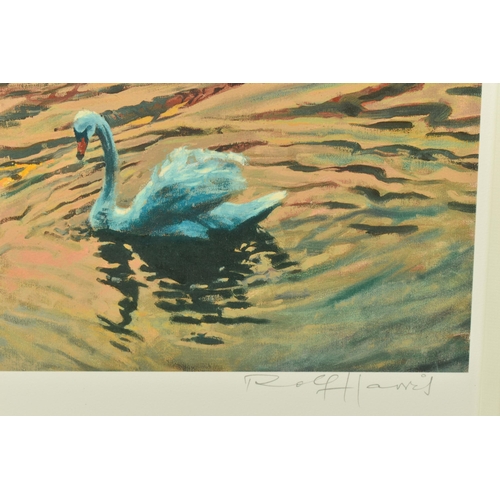 310 - ROLF HARRIS (AUSTRALIA 1930) 'SWAN IN THE MORNING' a signed limited edition print on paper, 64/195 w... 