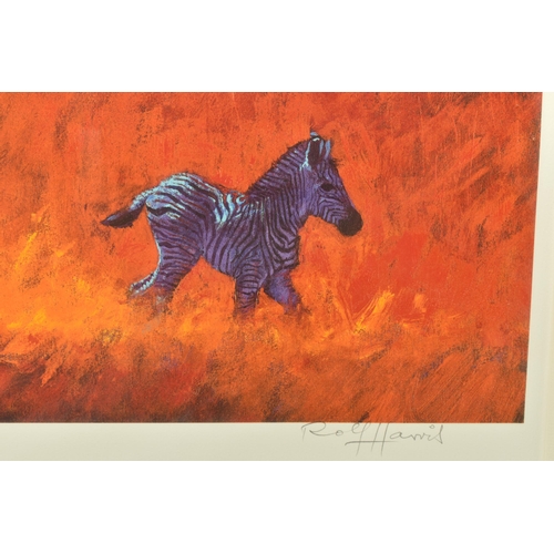 312 - ROLF HARRIS (AUSTRALIA 1930) ' ZEBRA AND WILDEBEEST', a signed limited edition print on paper, 50/19... 