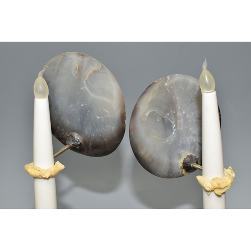 356 - A PAIR OF EBONY CANDLESTICKS WITH CARVED SHELL REFLECTORS, the ebony candlesticks with column like s... 