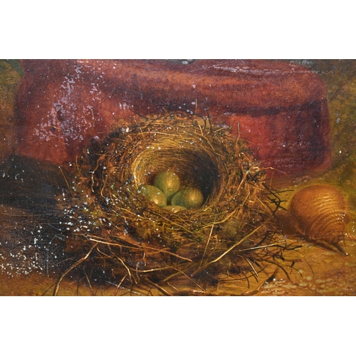 390 - ATTRIBUTED TO ABEL HOLD (1815-1891) A STILL LIFE STUDY OF A BIRDS NEST, there are four blue eggs in ... 