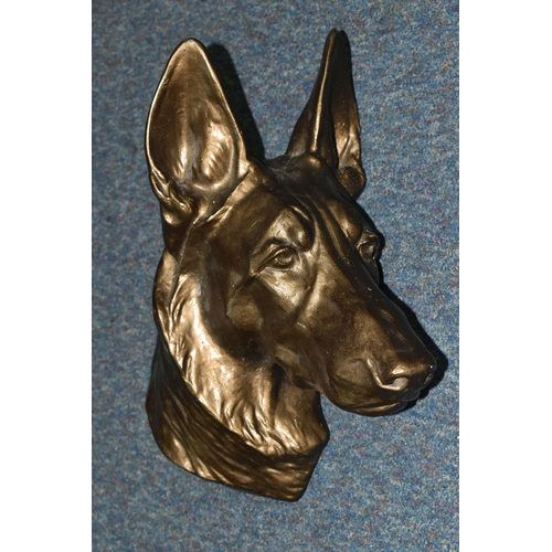 391 - A BRONZED CAST METAL WALL PLAQUE OF A GERMAN SHEPHERD / ALSATIAN DOG'S HEAD, height 40cm approx. (Co... 