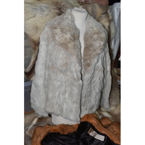 515 - FIVE REINDEER HIDES AND TWO FUR JACKETS, the reindeer hides of similar size, length of longest 145cm... 