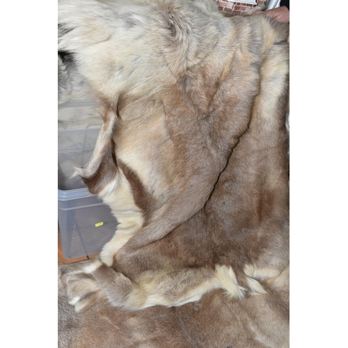 515 - FIVE REINDEER HIDES AND TWO FUR JACKETS, the reindeer hides of similar size, length of longest 145cm... 