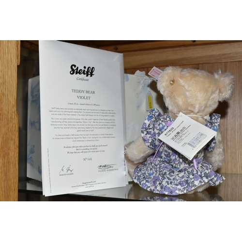 519 - A BOXED STEIFF LIMITED EDITION 'TEDDY BEAR VIOLET', no.677625, limited edition no.948/1500, blonde m... 