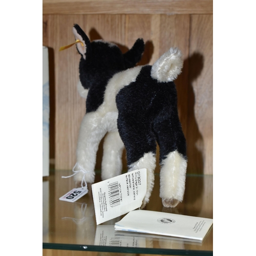 520 - A STEIFF 'FINNY' BLACK AND WHITE GOAT, no.073007, black and white mohair, with tag and labels attach... 