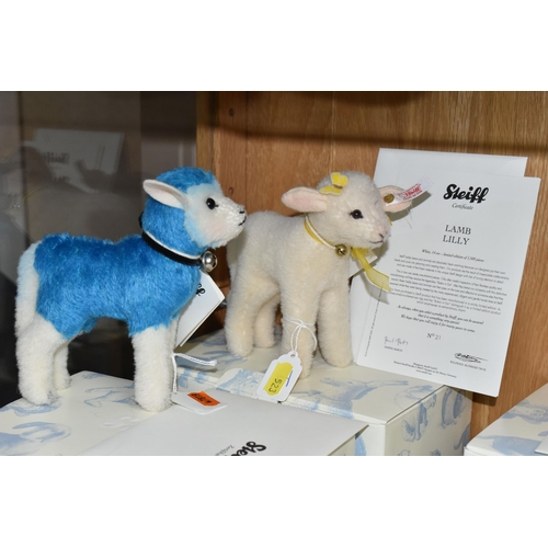 523 - TWO BOXED STEIFF LIMITED EDITION LAMBS, comprising 'Designer's Choice - Candy', no. 021626, limited ... 