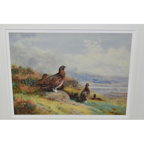 534 - TWO LIMITED EDITION PRINTS AFTER ARCHIBALD THORBURN, comprising 'Above Loch Maree' and 'Ptarmigan in... 