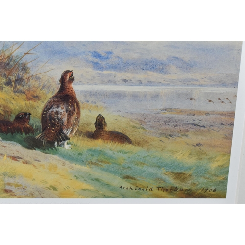 534 - TWO LIMITED EDITION PRINTS AFTER ARCHIBALD THORBURN, comprising 'Above Loch Maree' and 'Ptarmigan in... 