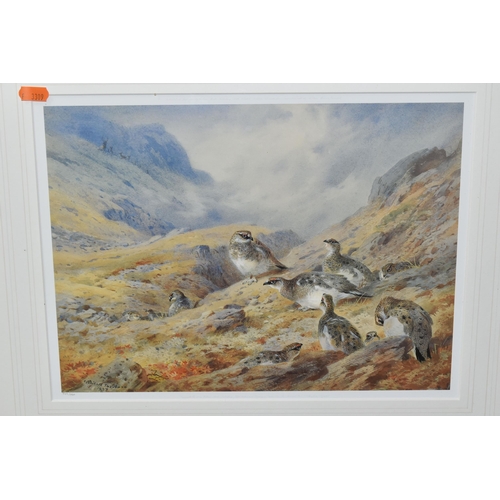 534 - TWO LIMITED EDITION PRINTS AFTER ARCHIBALD THORBURN, comprising 'Above Loch Maree' and 'Ptarmigan in... 