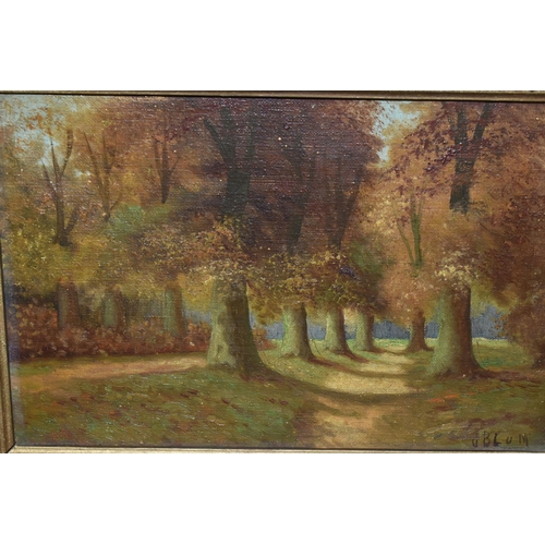 581 - TWO EARLY 20TH CENTURY LANDSCAPES, comprising of a  path leading through a woodland signed J Blum, o... 