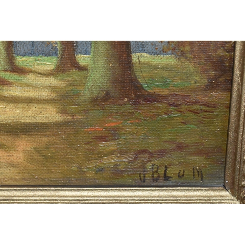 581 - TWO EARLY 20TH CENTURY LANDSCAPES, comprising of a  path leading through a woodland signed J Blum, o... 