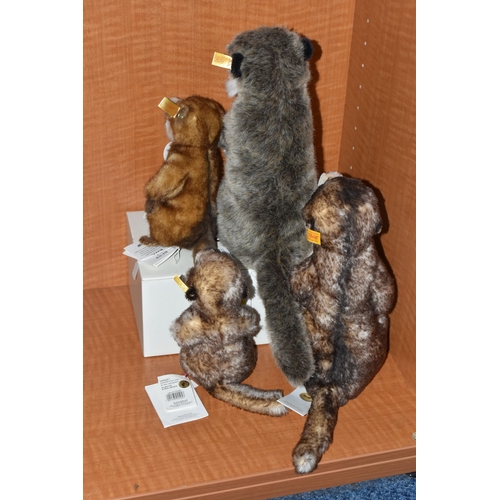 603 - FOUR STEIFF MEERKATS, comprising 'Mungo', no. 071249, brown tipped mohair, height 30cm, 'Cockie', no... 