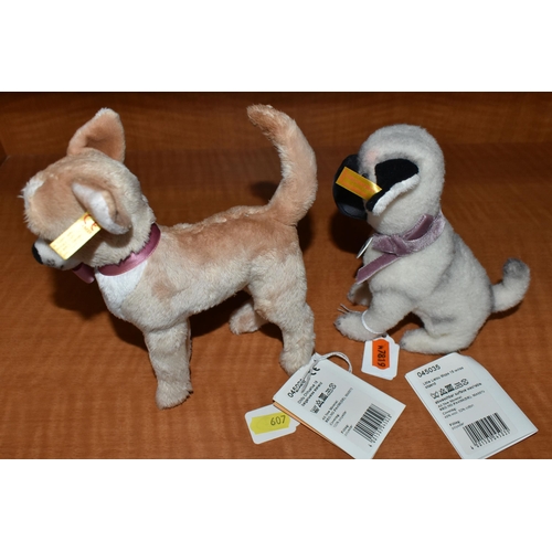 607 - TWO STEIFF DOGS, comprising 'Little Lielou', no.045035, wool, height 15cm and 'Chilly Chihuahua', no... 