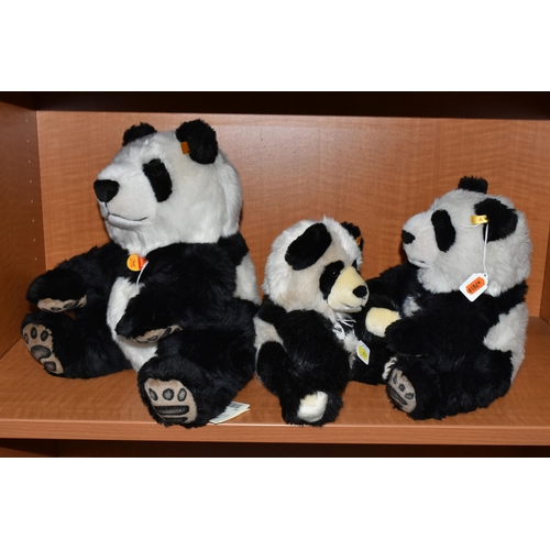 611 - THREE STEIFF PANDA BEARS, comprising 'Manschli', no.064821, height 35cm, another lacking paper label... 